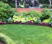 C-Back-Garden