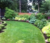 C-Beautiful-Back-garden