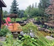 water feature_2138